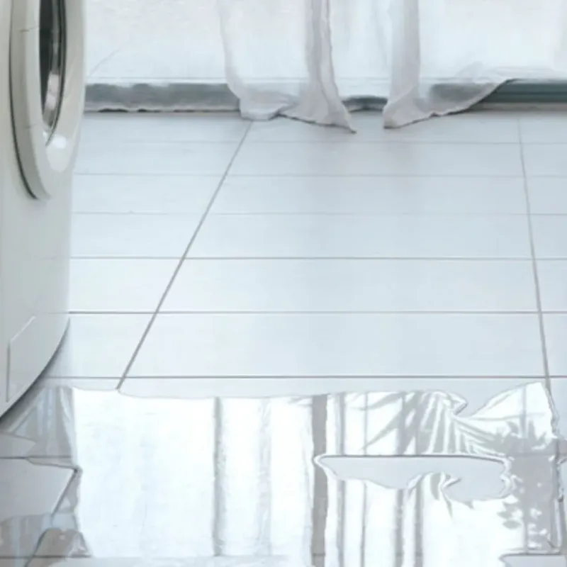 Appliance Leak Cleanup in Prescott, WI