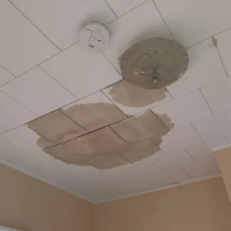 Ceiling Water Damage Repair in Prescott, WI