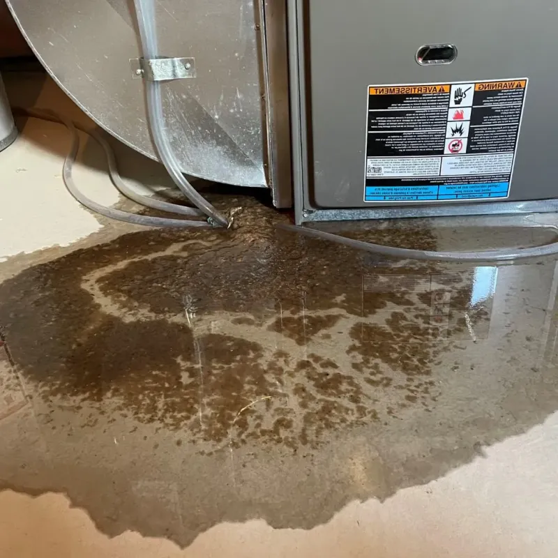 Pipe Burst and Leak Restoration in Prescott, WI